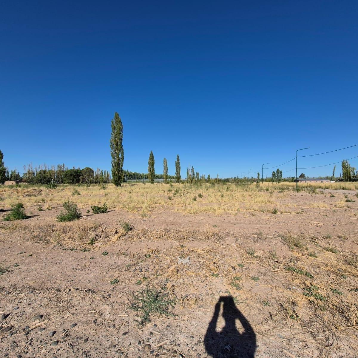 Terreno 500 m² en La Rambla - F. Oro 2