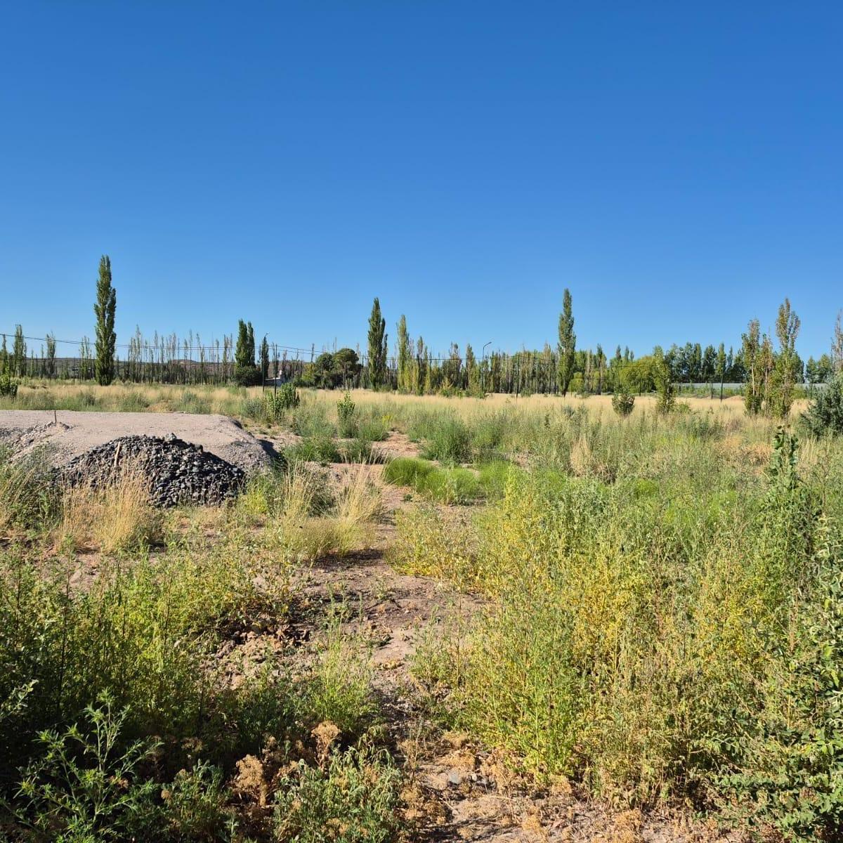 Terreno 500 m² en La Rambla - F. Oro 1