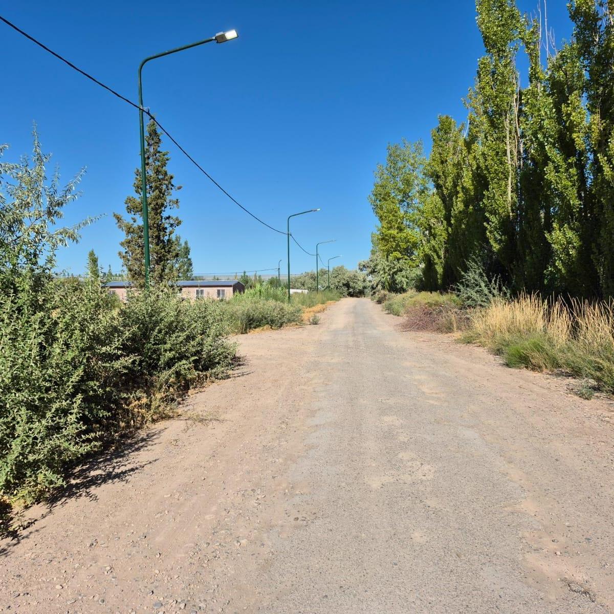 Terreno 500 m² en La Rambla - F. Oro 4