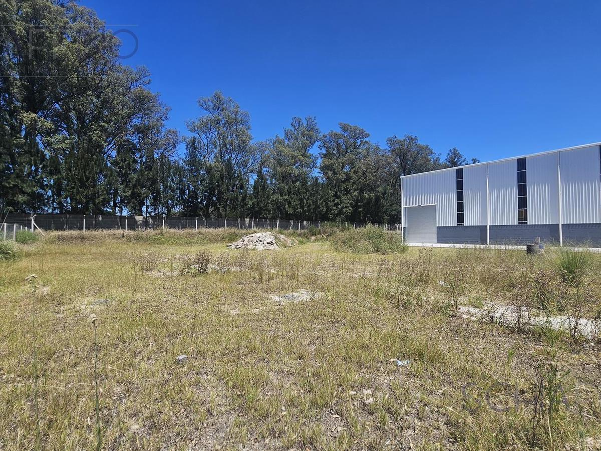 Foto de Nave Industrial en Alquiler 1500 m2 en POLO INDUSTRIAL EZEIZA, imagen 3