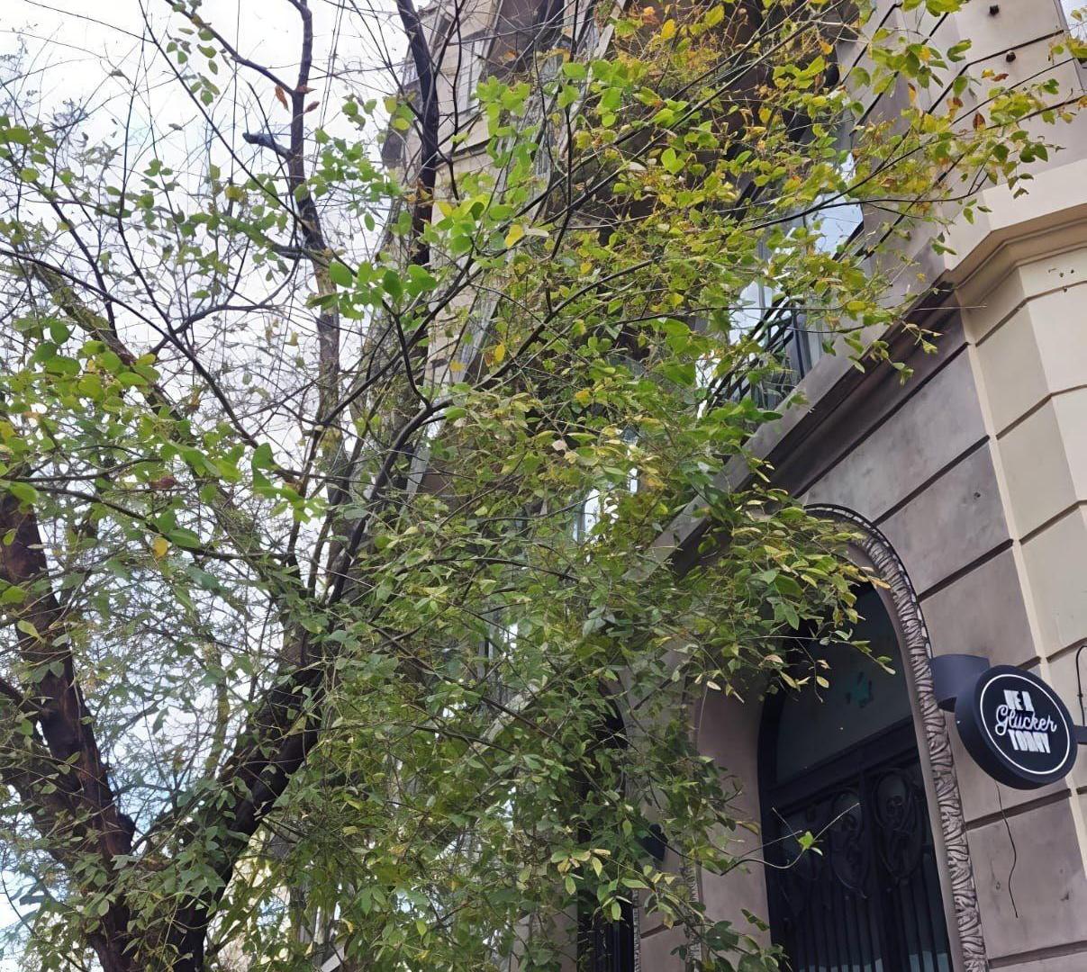 Foto de Edificio Comercial en San Telmo, imagen 1