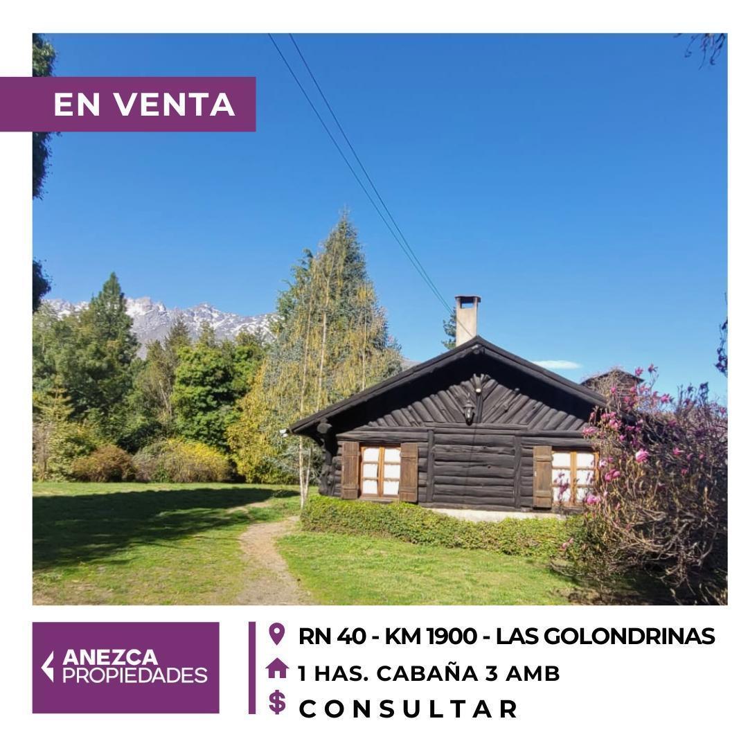 Foto de Venta - Fracción de 1 Ha con Cabaña y Galpón - Las Golondrinas, Lago, imagen 1