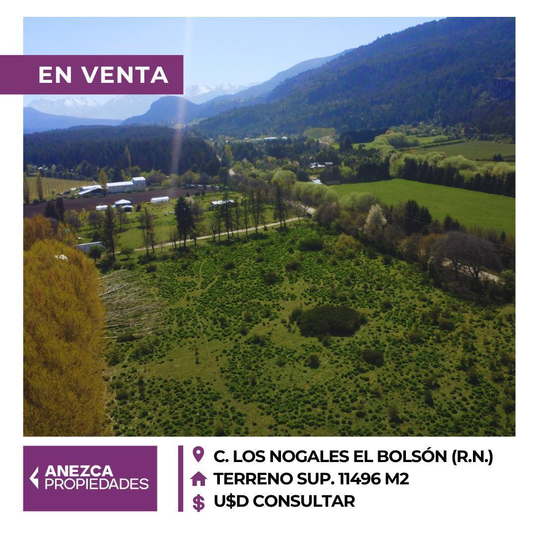 Foto de Terreno en CAMINO LOS NOGALES EL BOLSÓN, imagen 1