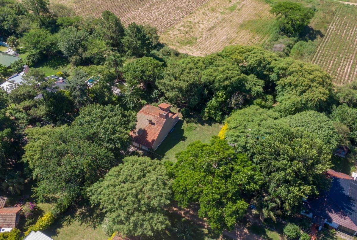 Lote. | Callejon Pintos Al S00 1
