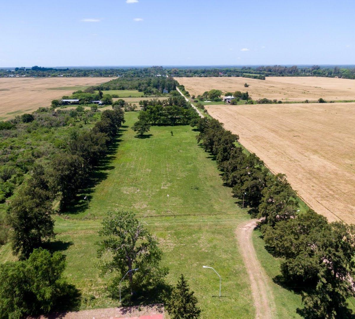 Lote. | España 3