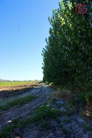 Greenwood Vende Finca de 15ha en Ugarteche, Ubicacion Privilegiada 4