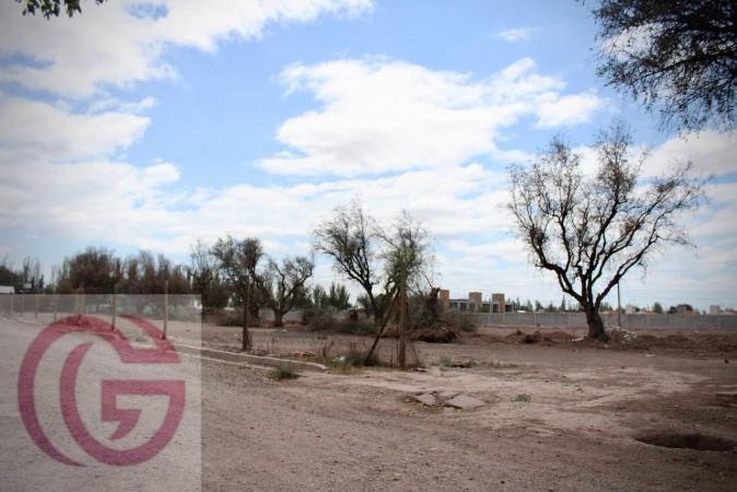 Greenwood Vende Ultimos 5 Lotes a m de Acceso Sur y Azcuenaga 3