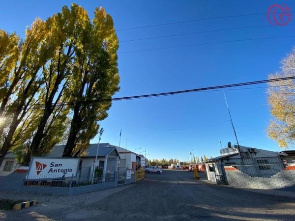 Greenwood Vende Base de Operaciones, Edificaciones y Gran Terreno en Malargue (Centro). 1