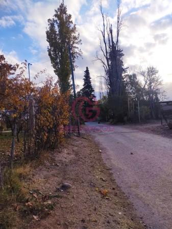 Greenwood Vende Excelente Lote Para Desarrollar Fraccionamiento o Proyecto Turistico en Los Caminos 2