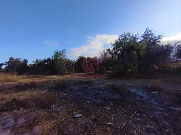 Greenwood Vende Excelente Lote Para Desarrollar Fraccionamiento o Proyecto Turistico en Los Caminos 4