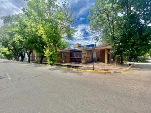 Greenwood Vende Bodega y Casa en Lujan de Cuyo, Ideal Para Inversores de Experiencias Gastronomicas 4