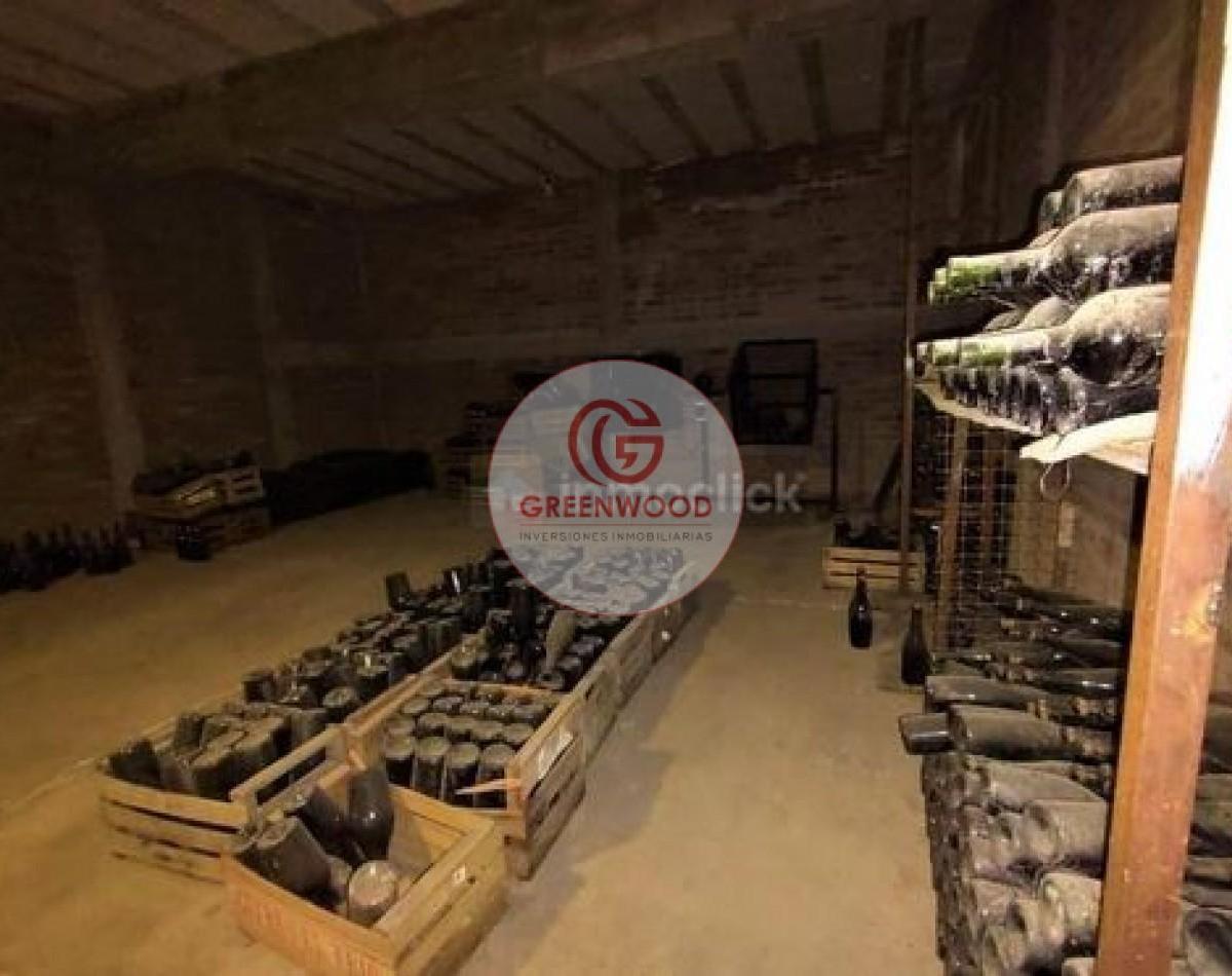 Greenwood Vende Fabulosa Finca con Viñedo, Casa y Pequeña Bodega Artesanal en San Rafael 3