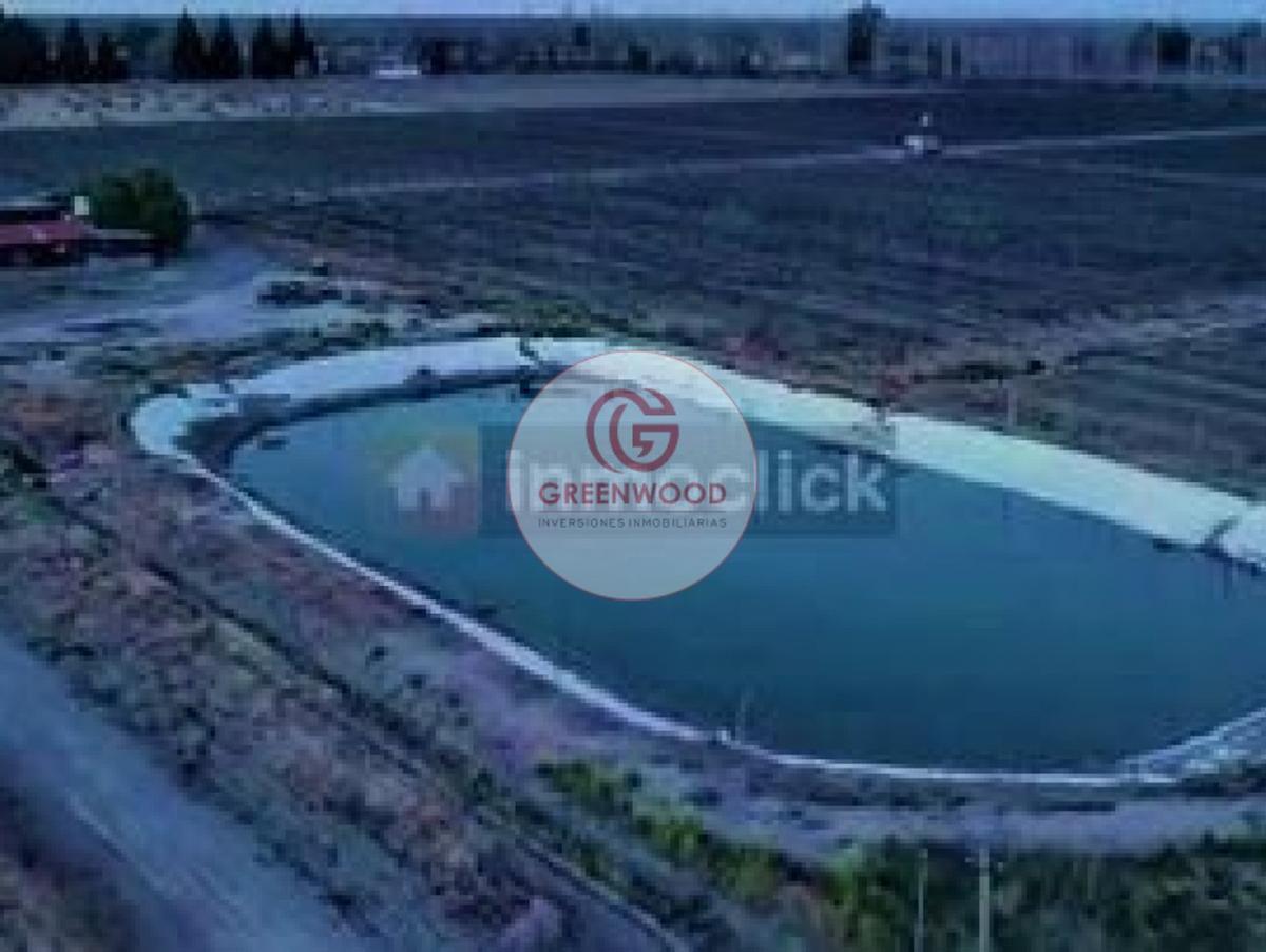 Greenwood Vende Fabulosa Finca con Viñedo, Casa y Pequeña Bodega Artesanal en San Rafael 5