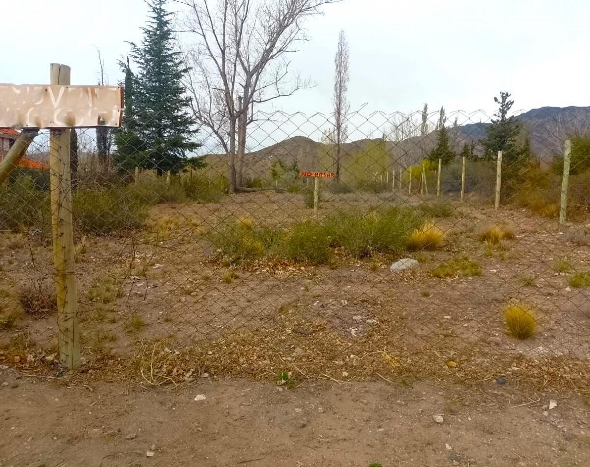 Greenwood Vende Excepcional Lote Al Pie del Cerro El Cristo en Villa El Salto, Potrerillos 4