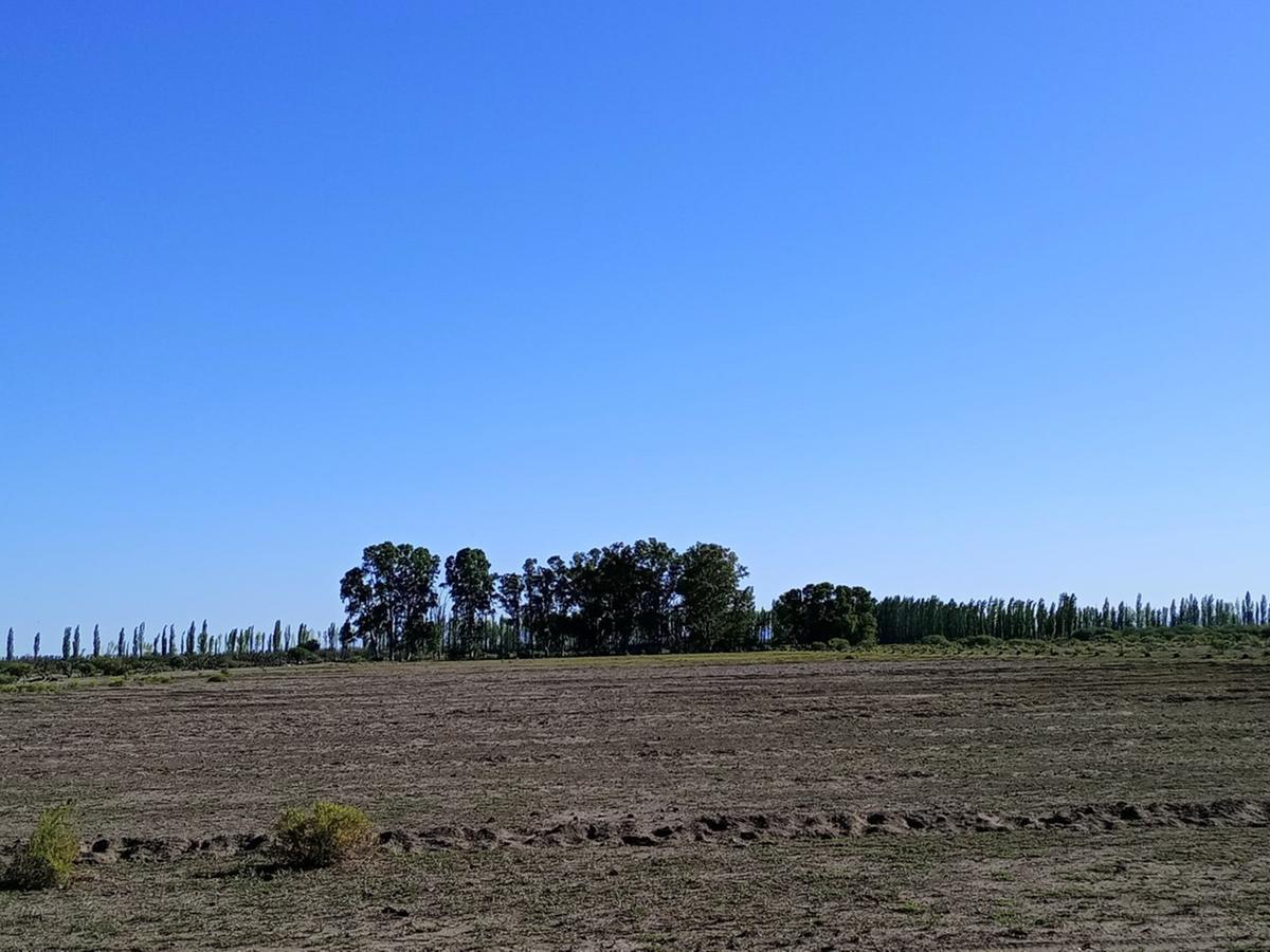 Greenwood Vende Excelentes Tierras en San Rafael, Finca en Colonia Elena Para Cultivos y Ganaderia I 2