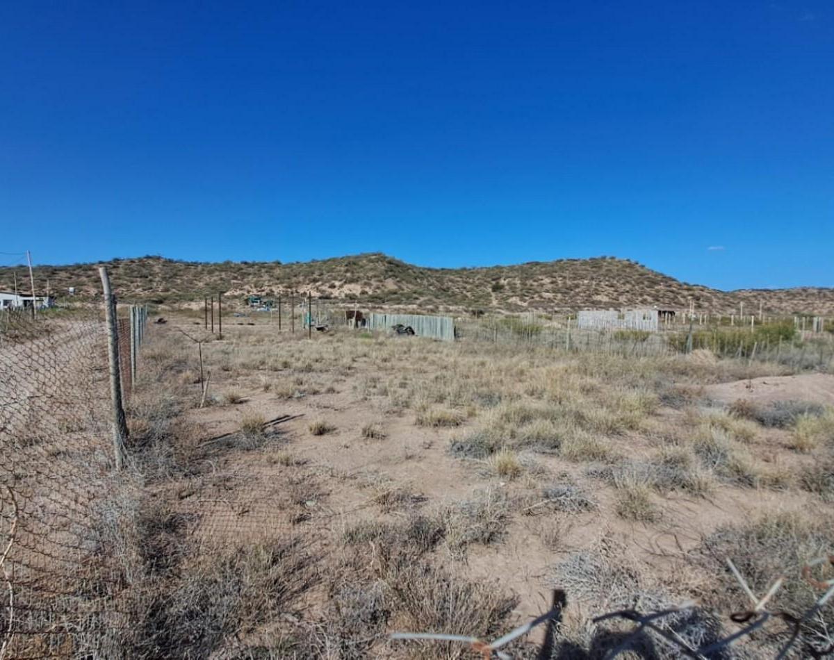 Greenwood Vende Lote en El Carrizal Medio de Lujan de Cuyo. 4
