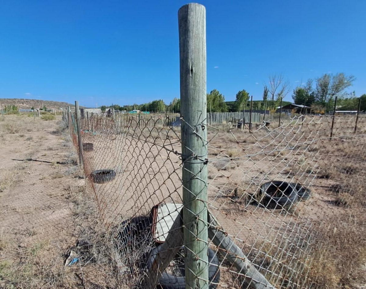 Greenwood Vende Lote en El Carrizal Medio de Lujan de Cuyo. 5