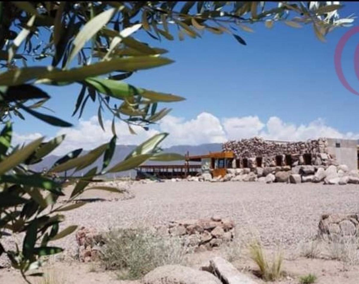 Greenwood Vende Lote en Altos de La Crucecita del Departamento de Lujan de Cuyo 5