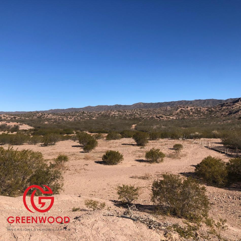 Grenwood Inversiones Inmobiliarias Vende Campo en Cacheuta 4