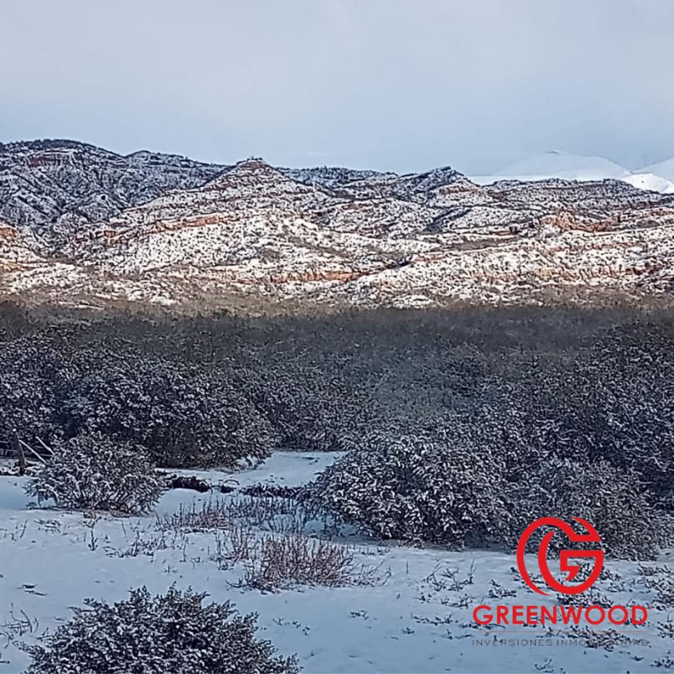 Grenwood Inversiones Inmobiliarias Vende Campo en Cacheuta 3