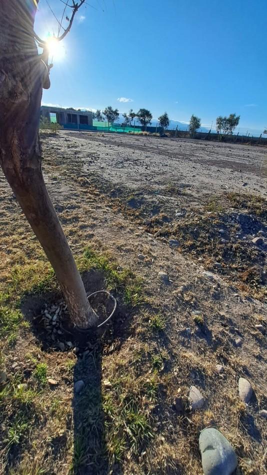 Greenwood Vende Lote en El Barrio Privado Maria Antonieta 4