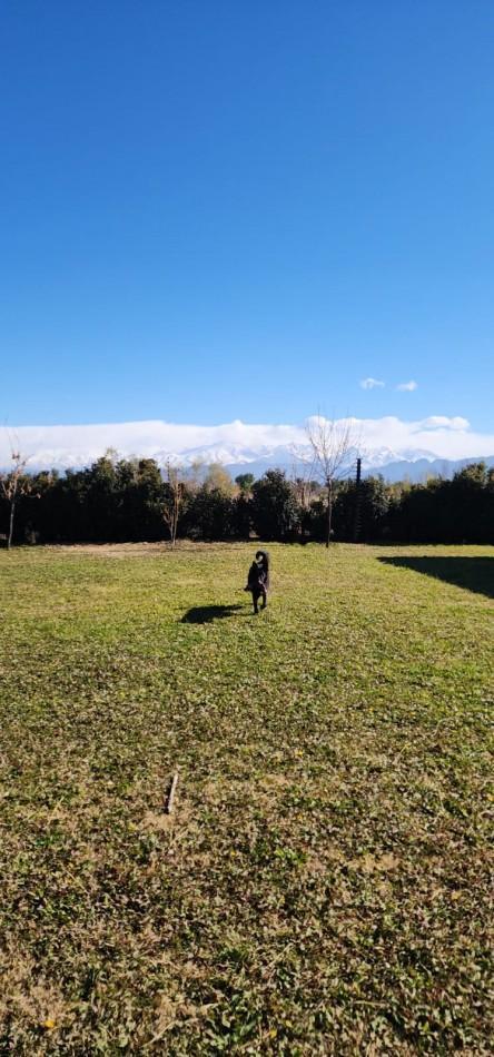 Greenwood Inmobiliria Vende Hermosos Lotes Oportunidad Unica de Inversion en Greenwood Inmobiliaria! 1