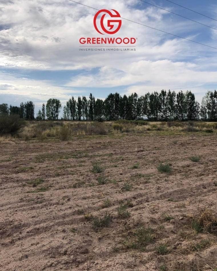 Greenwood Inversiones Inmobiliarias Vende Finca Ugarteche 5