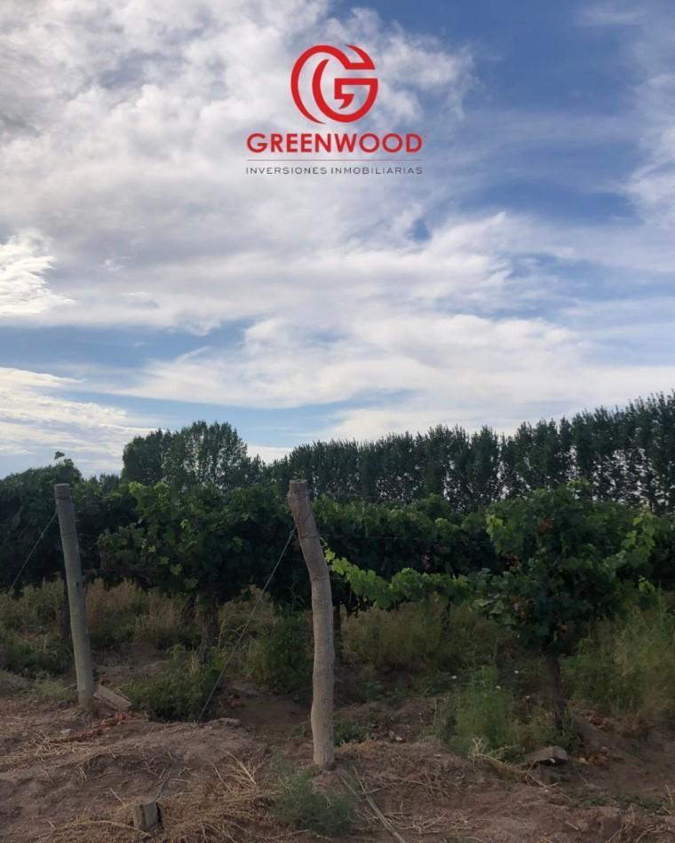 Greenwood Inversiones Inmobiliarias Vende Finca Ugarteche 2