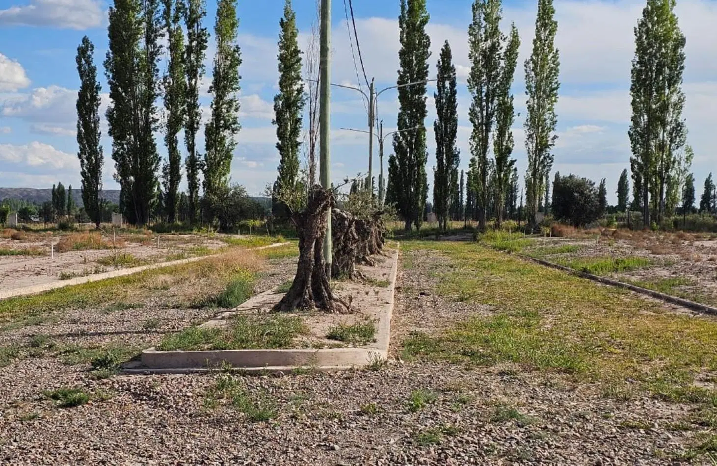 GREENWOOD INMOBILIARIA TE OFRECE LOTE EN VENTA LUJAN DE CUYO: 3