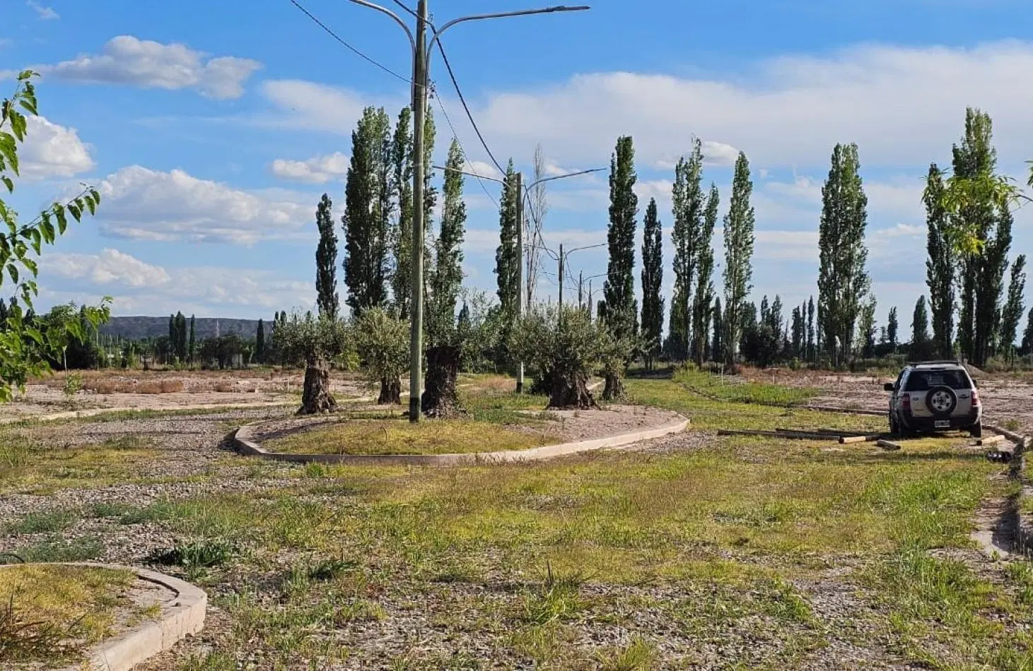 GREENWOOD INMOBILIARIA TE OFRECE LOTE EN VENTA LUJAN DE CUYO: 5
