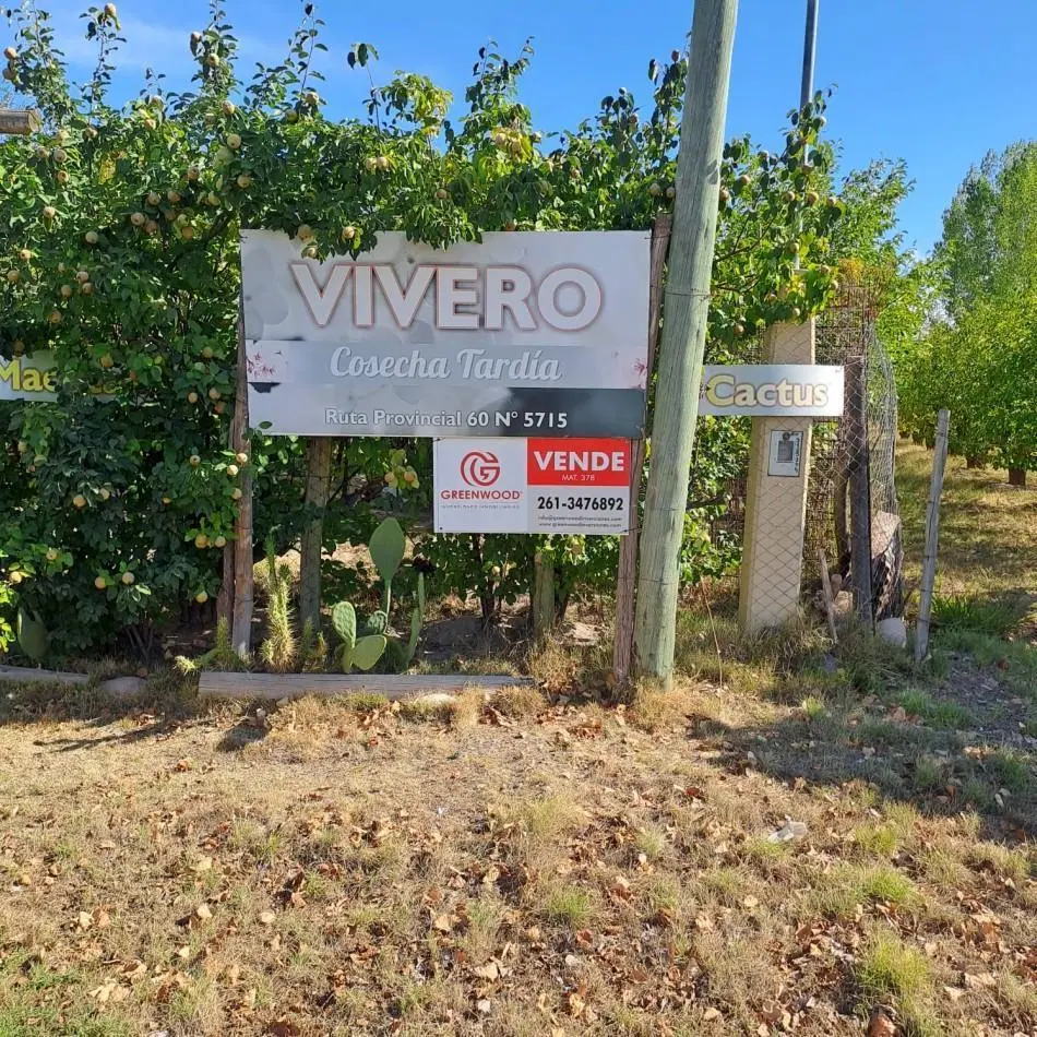 VENTA DE CASA CON TERRENO CULTIVADO EN MAIPU 7