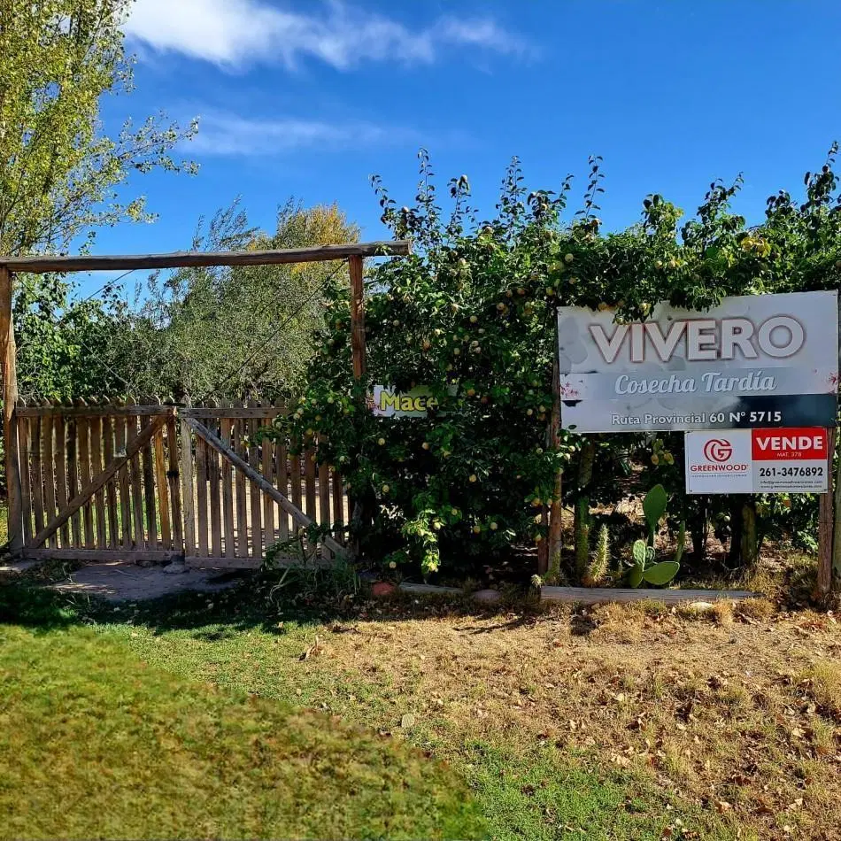 VENTA DE CASA CON TERRENO CULTIVADO EN MAIPU 5