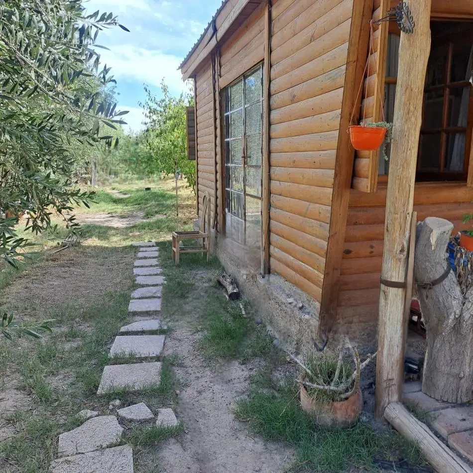 VENTA DE CASA CON TERRENO CULTIVADO EN MAIPU 4