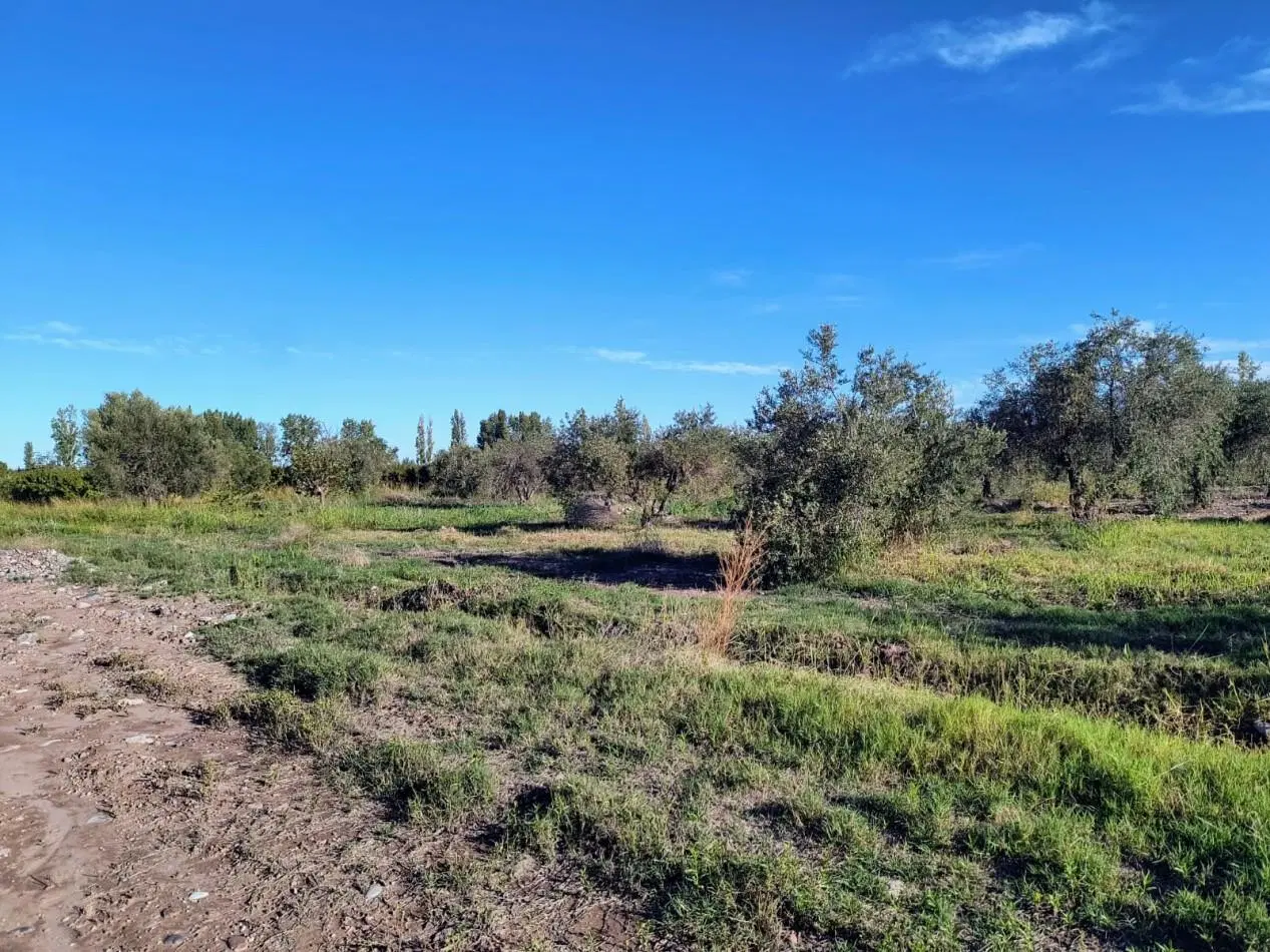 GREENWOOD INMOBILIARIA VENDE LOTES MAIPU 3