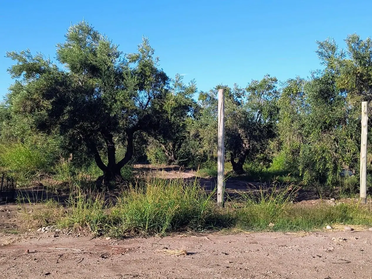 GREENWOOD INMOBILIARIA VENDE LOTES MAIPU 3