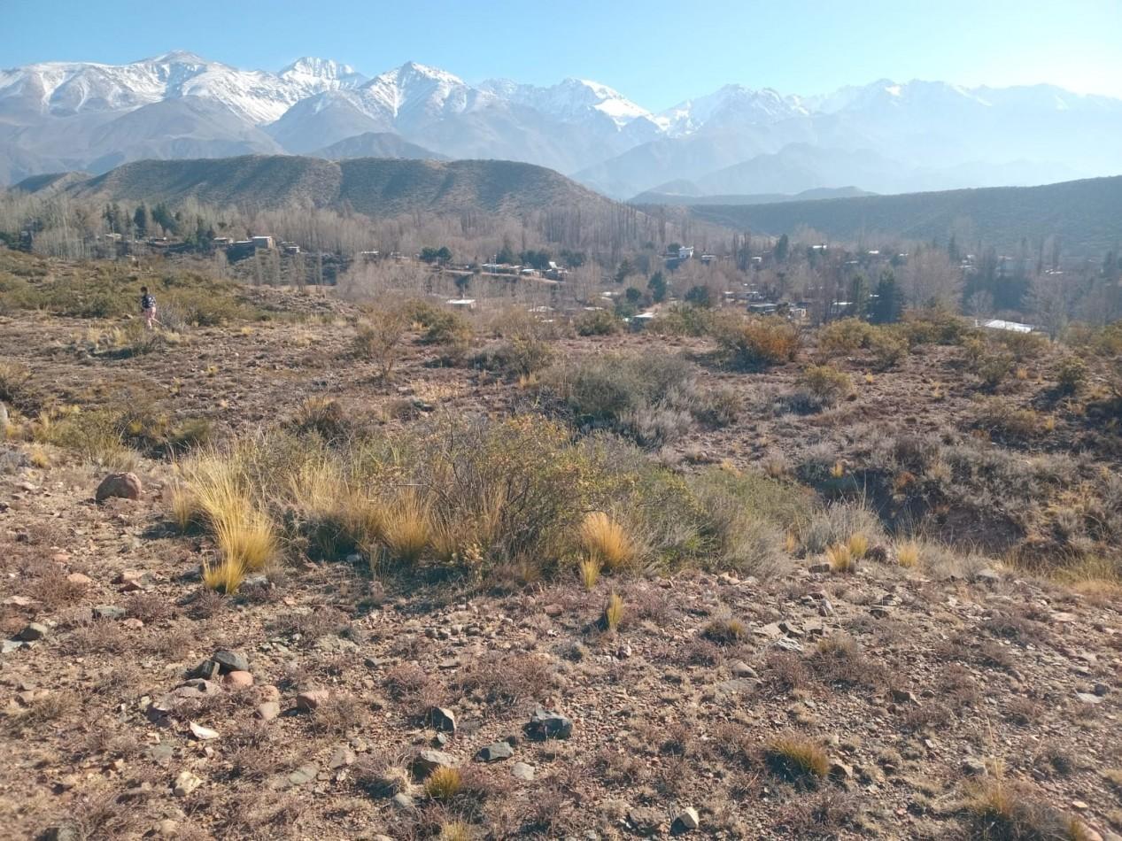 Foto de GREENWOOD INMOBILIARIA VENDE LOTES EN LAS VEGAS, POTRERILLOS B° CHACRAS, imagen 1