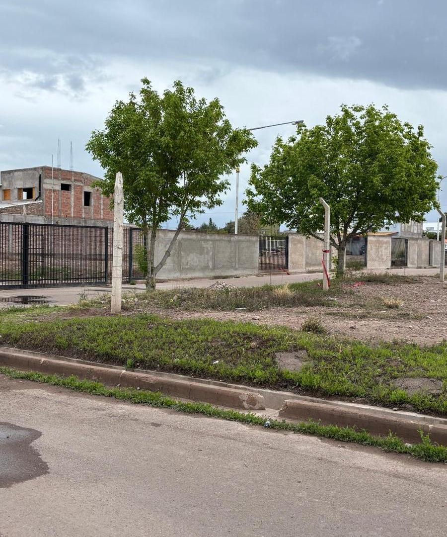 Foto de Terreno en Lujan De Cuyo, imagen 2