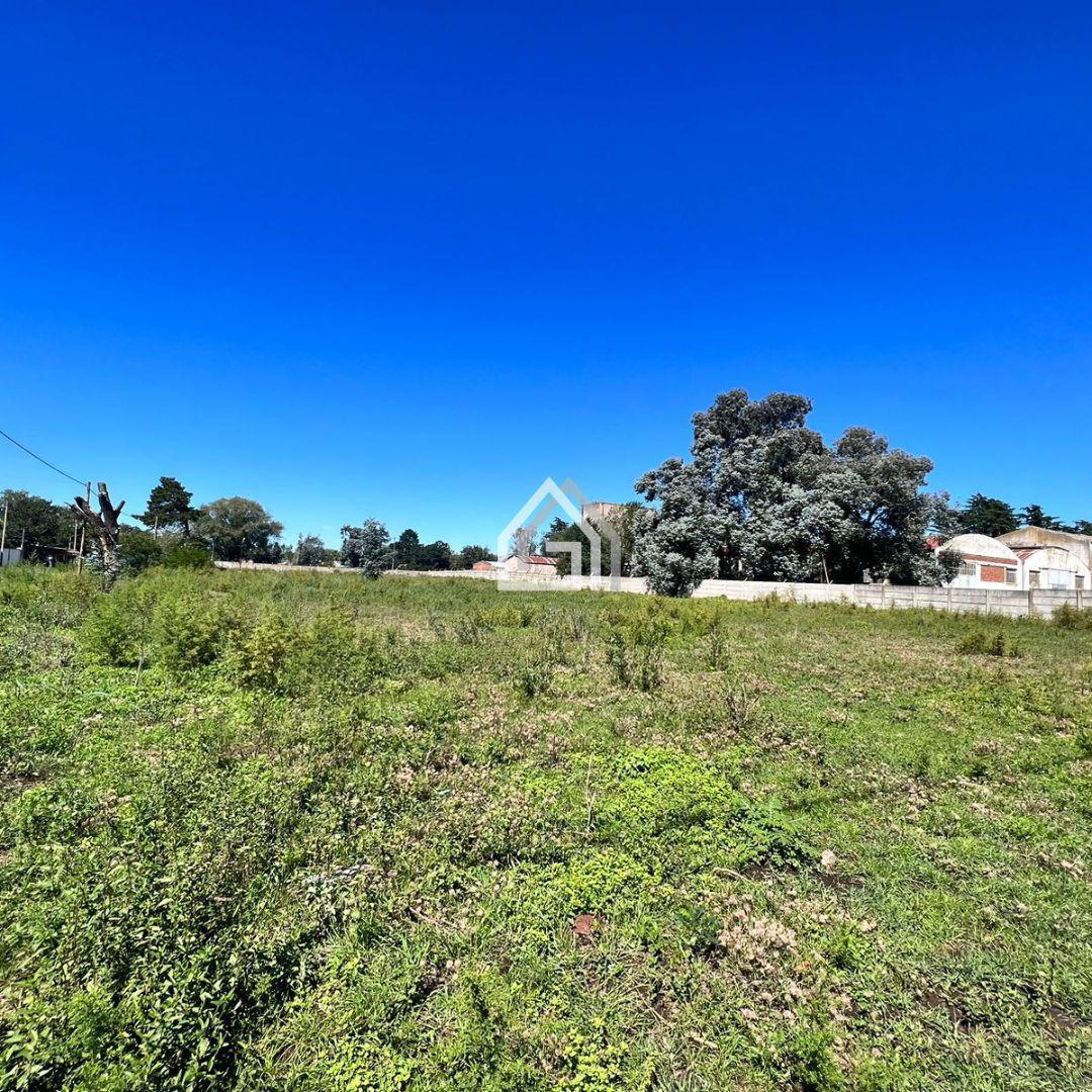 Foto de Lotes en VENTA - Independencia y Pasteur, imagen 4