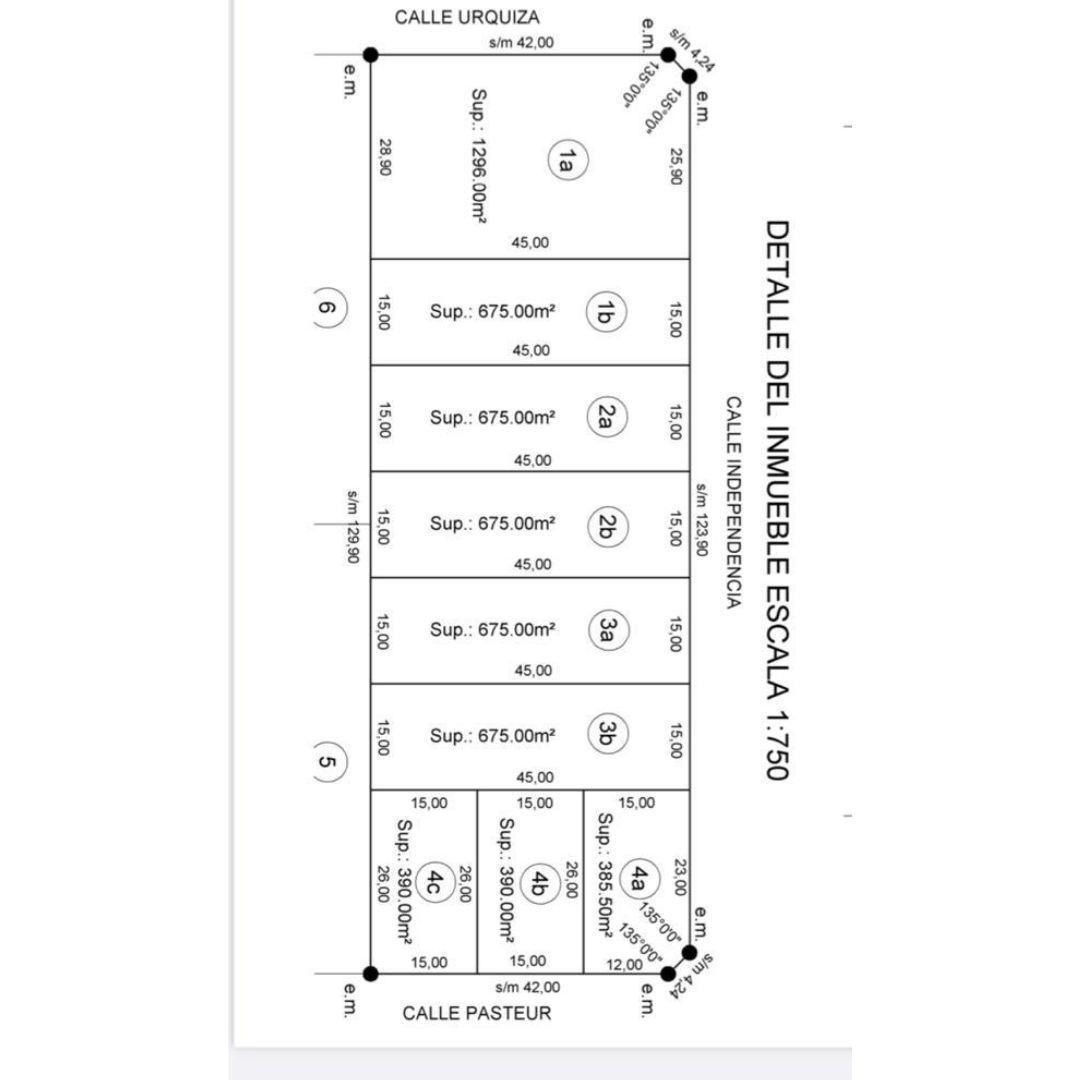 Foto de Lotes en VENTA - Independencia y Pasteur, imagen 2
