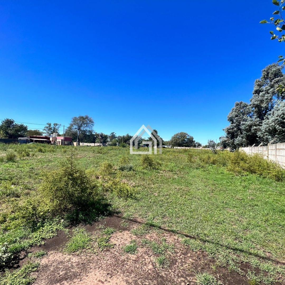 Foto de Lotes en VENTA - Independencia y Pasteur, imagen 3