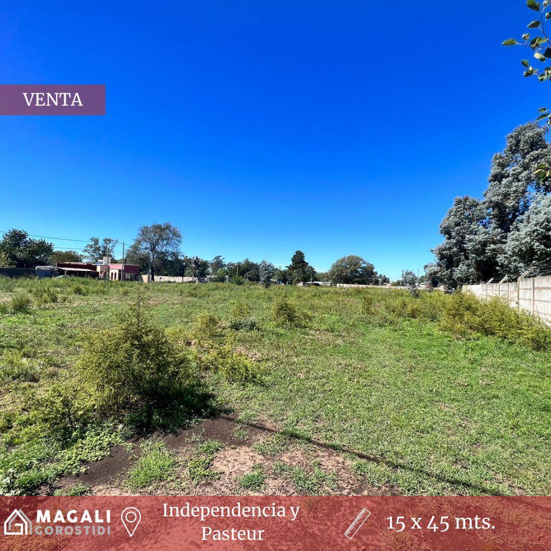 Foto de Lotes en VENTA - Independencia y Pasteur, imagen 5