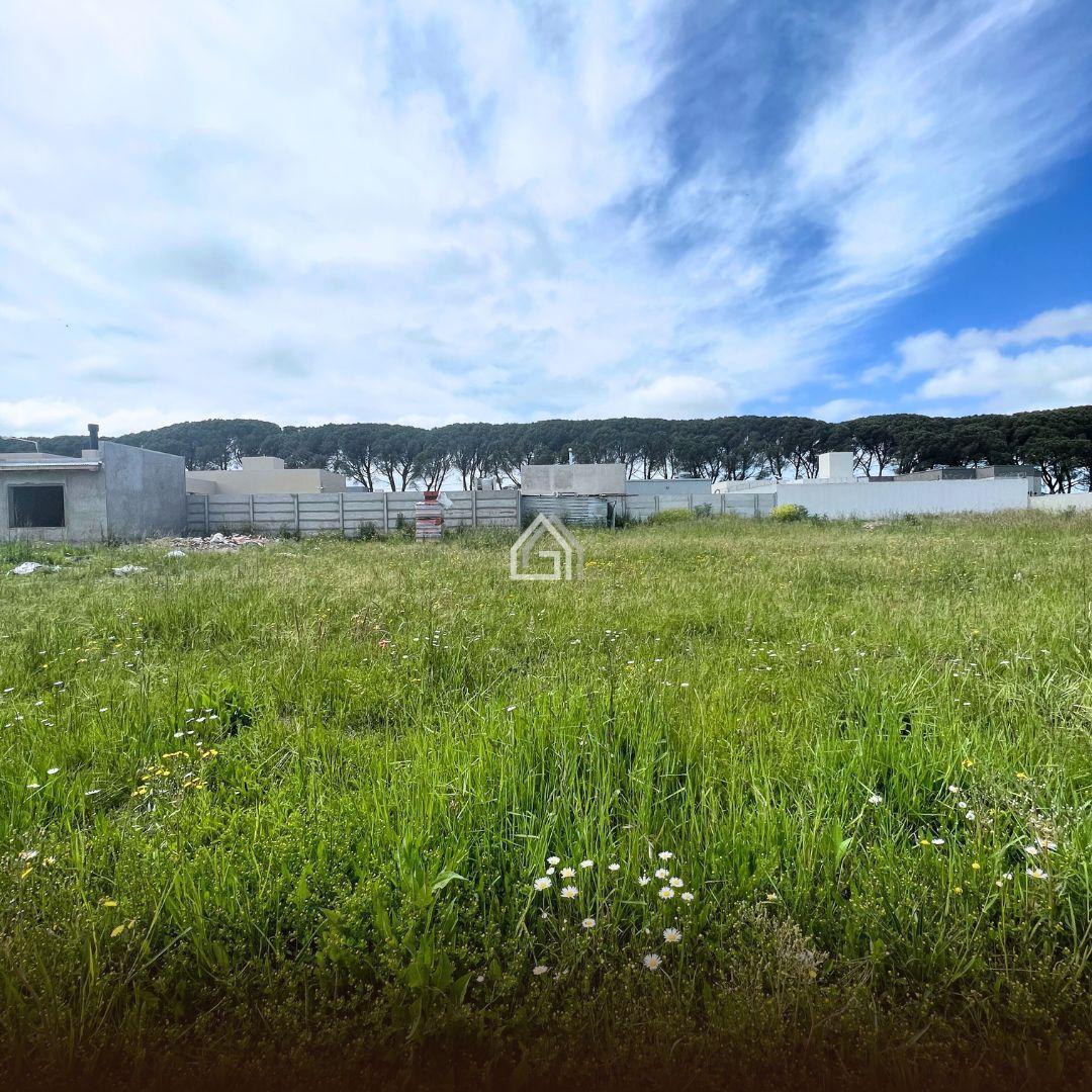 Foto de Lote en VENTA - Pío XII y San Francisco, imagen 4