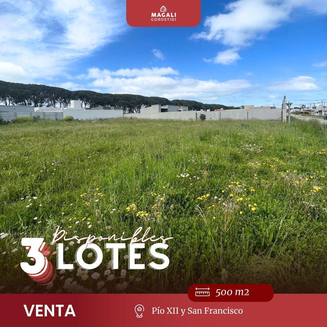 Foto de Lote en VENTA - Pío XII y San Francisco, imagen 5