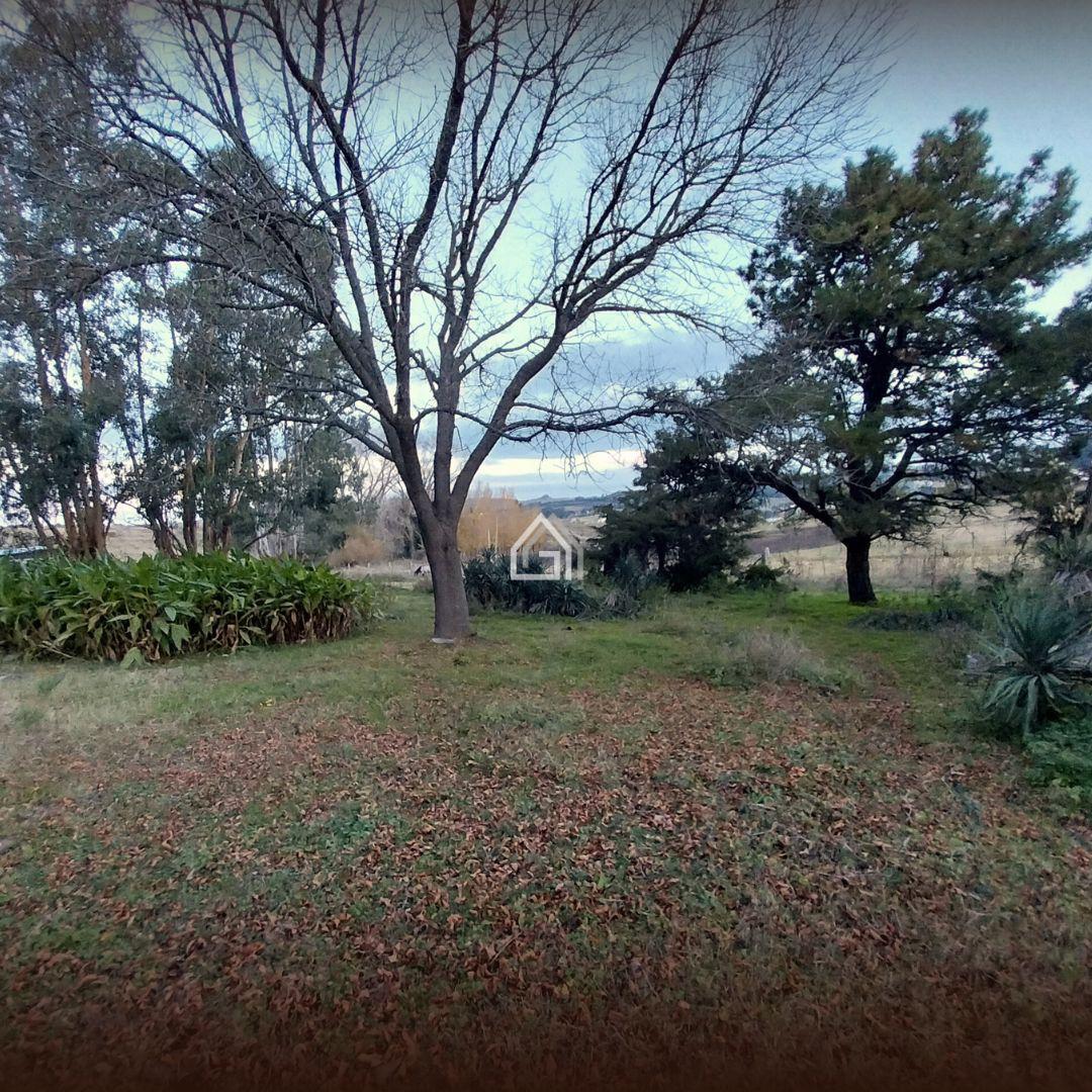 Foto de Terreno entre Sierras en venta, Tandil, imagen 4