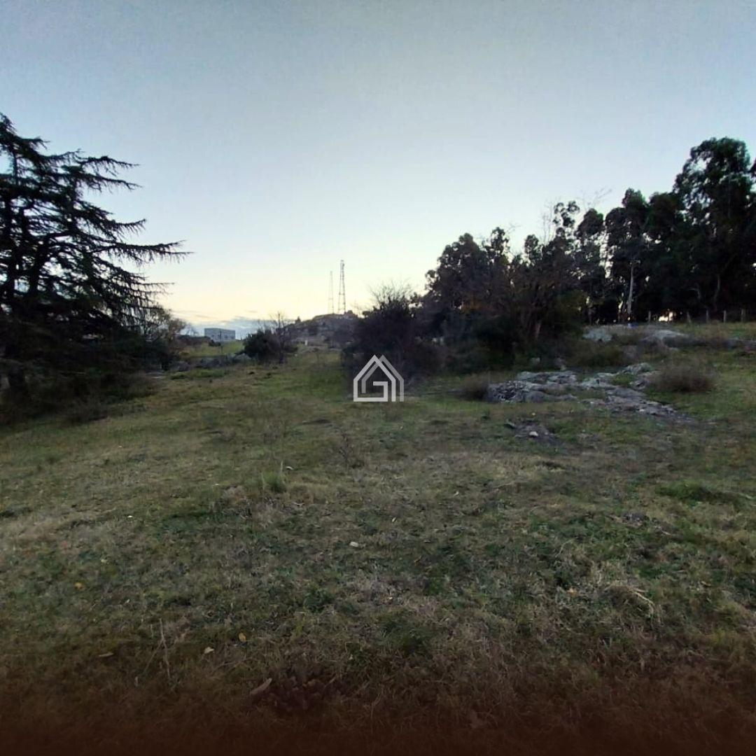 Foto de Terreno entre Sierras en venta, Tandil, imagen 5