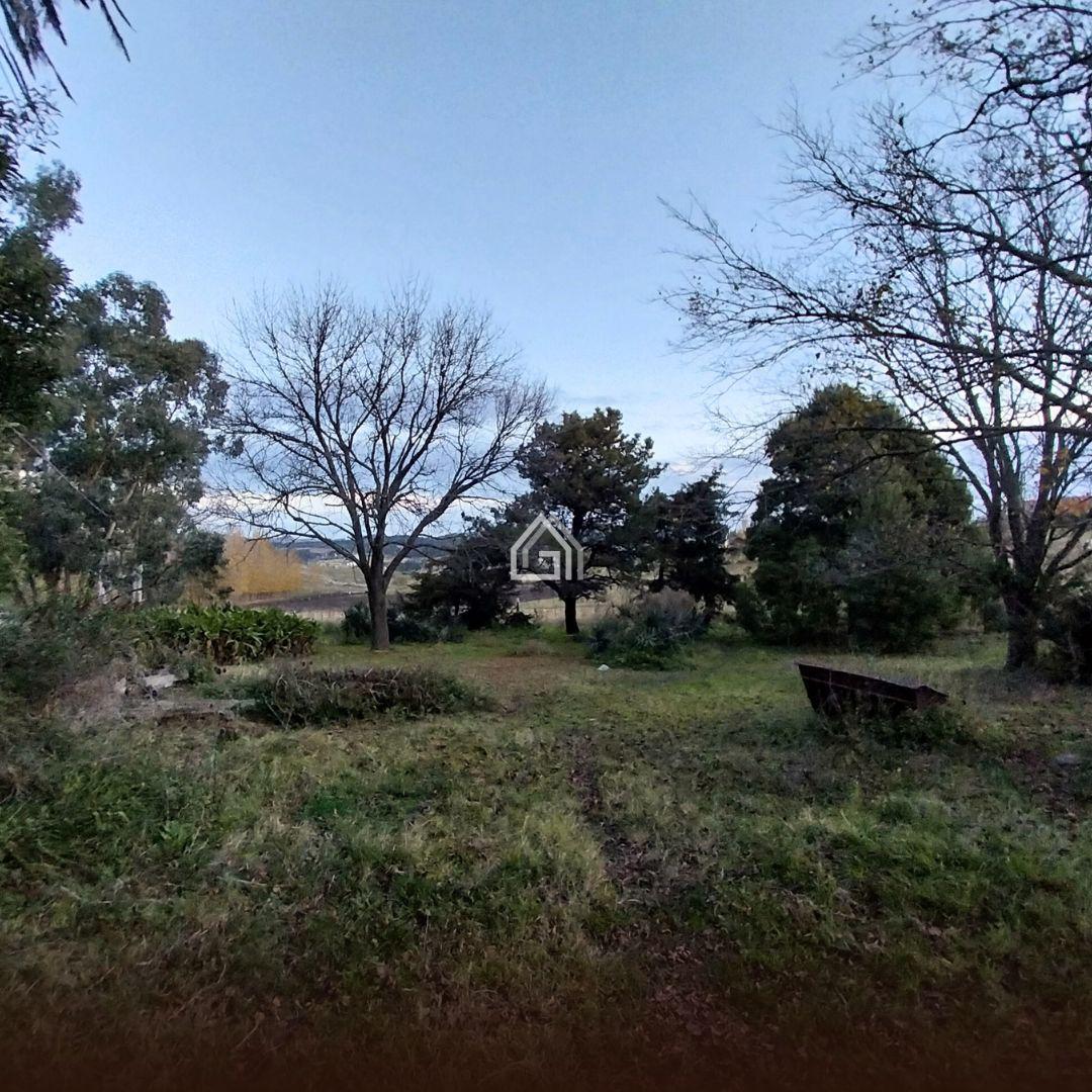 Foto de Terreno entre Sierras en venta, Tandil, imagen 2