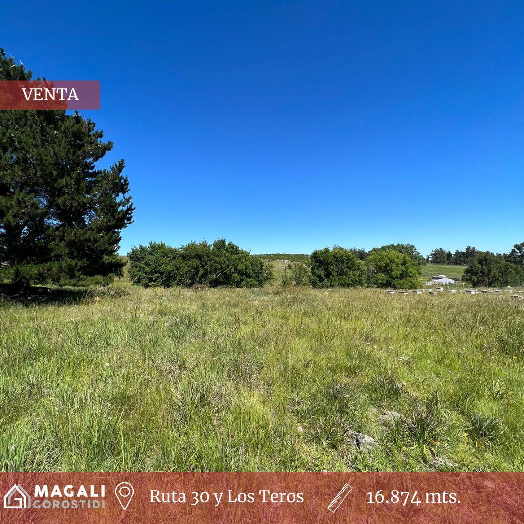 Foto de Lote en VENTA Ruta 30 y Los Teros, imagen 2