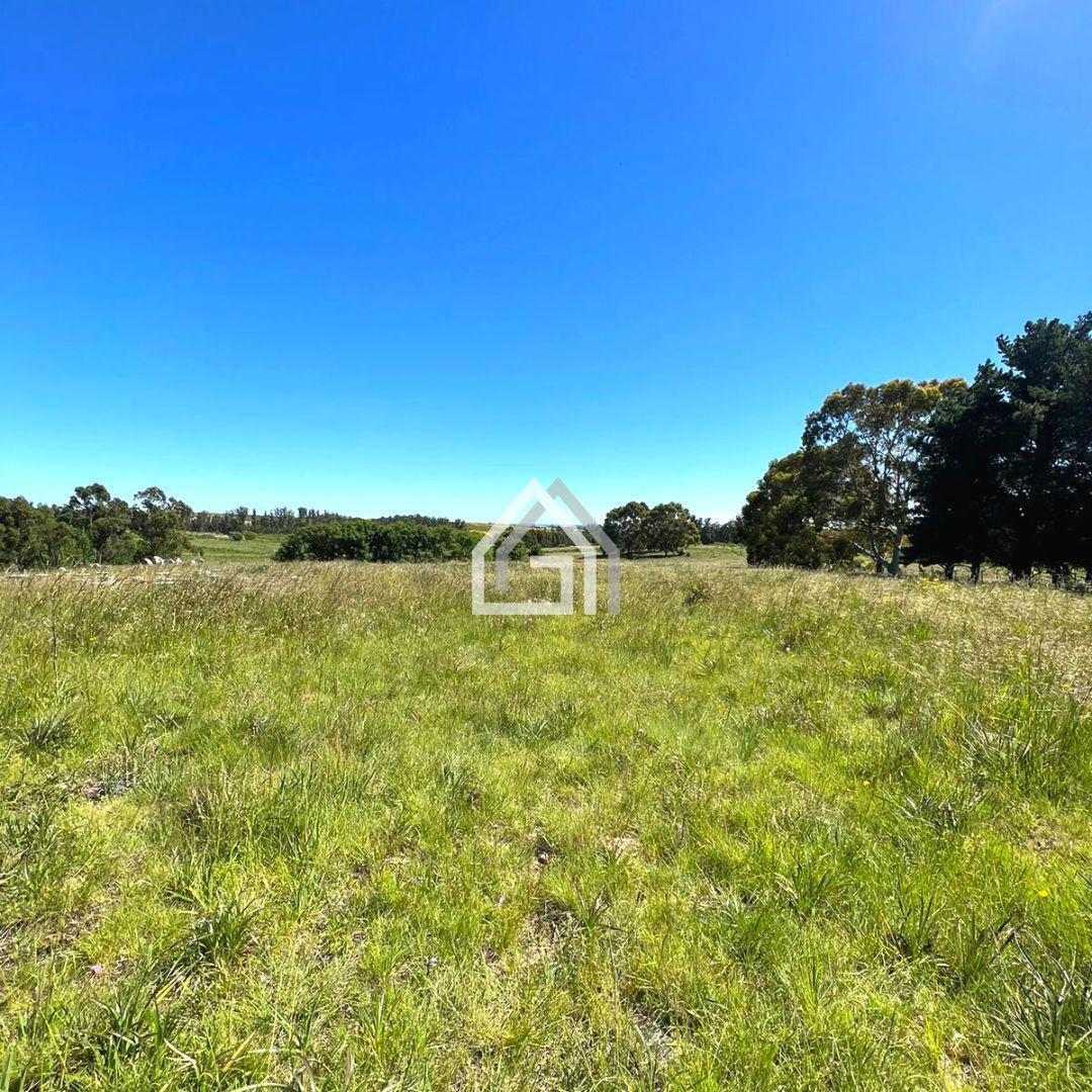 Foto de Lote en VENTA Ruta 30 y Los Teros, imagen 4