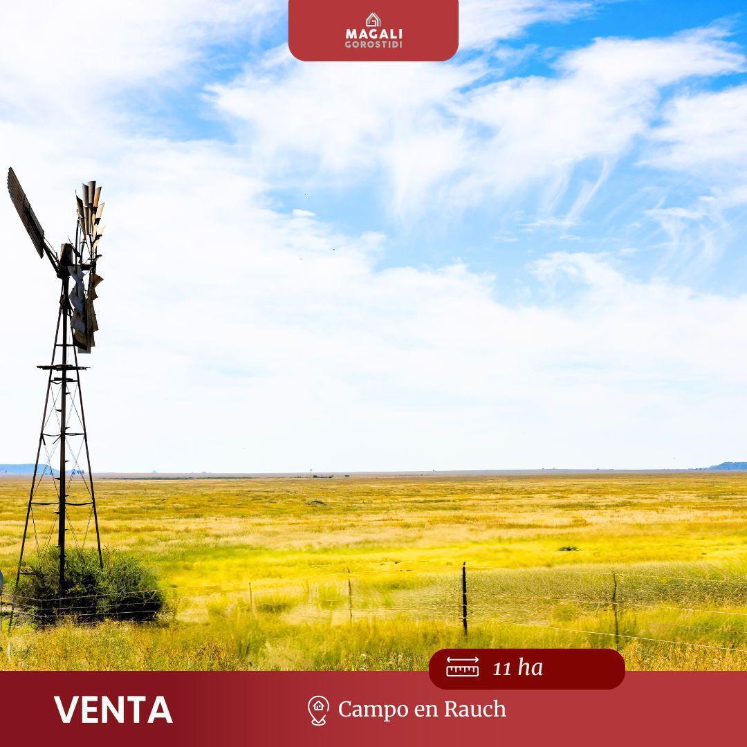 Foto de Chacra en Rauch, Ruta 60, imagen 1