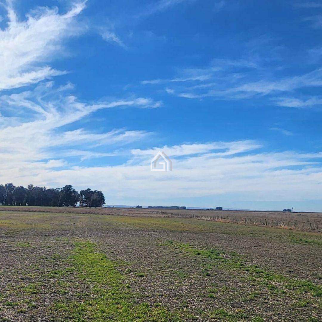 Foto de Campo en Benito Juarez Venta, imagen 4
